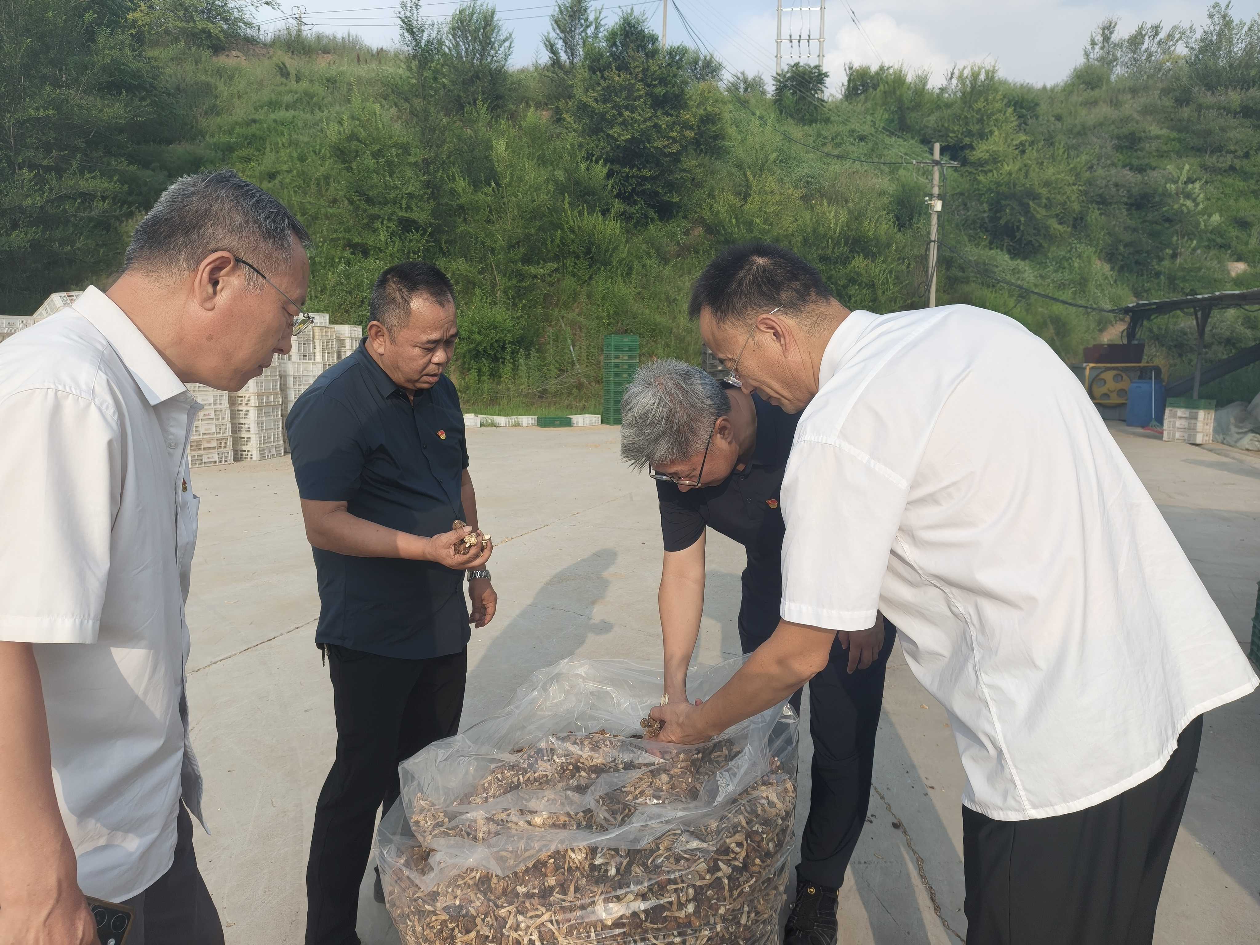 图片5.jpg